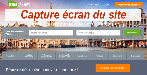 Se connecter à Vivastreet.be, rubrique "mon compte".